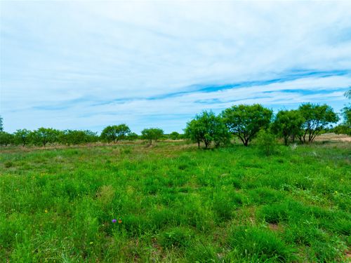 13450 County Road 440, Merkel, TX, 79536 | Card Image