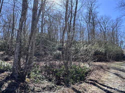 000 Walk About Trl, Fletcher, NC, 28732 | Card Image