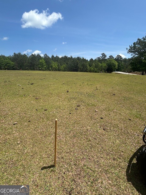 Land in Mcdonough 5