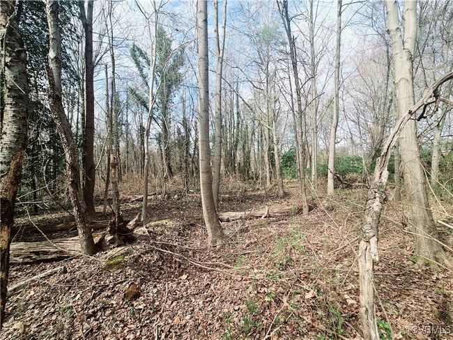 15601 Harrowgate Rd, Home with 0 bedrooms, 0 bathrooms and null parking in Chester VA | Image 9