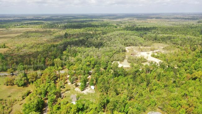 2771 S Highway 71, Home with 0 bedrooms, 0 bathrooms and null parking in Wewahitchka FL | Image 20
