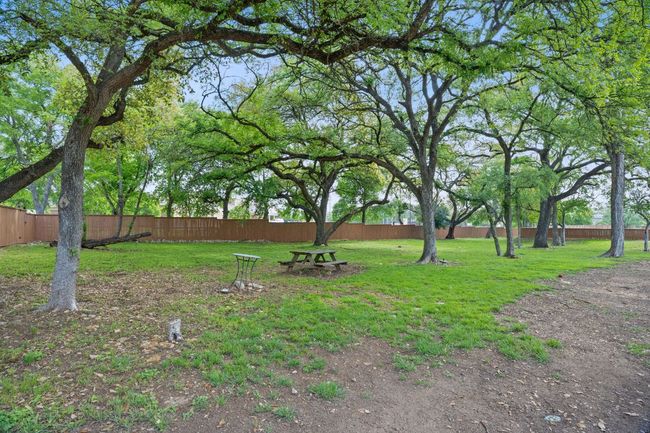 Dog Park | Image 29