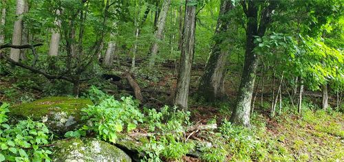 Lot 87 Thorncliff Drive, Seven Devils, NC, 28607 | Card Image
