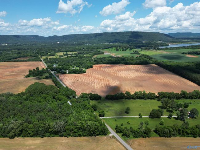 14 Acres Beaver Creek Rd, Home with 0 bedrooms, 0 bathrooms and null parking in Laceys Spring AL | Image 6