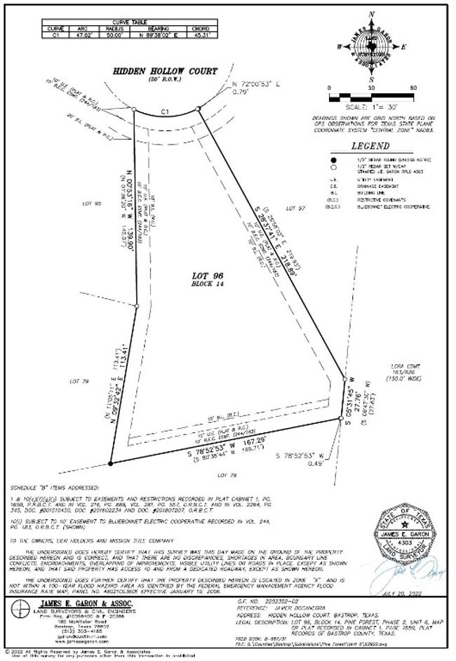 Survey Lot 96 Hidden Hollow Ct, Pine Forest Bastrop | Image 5