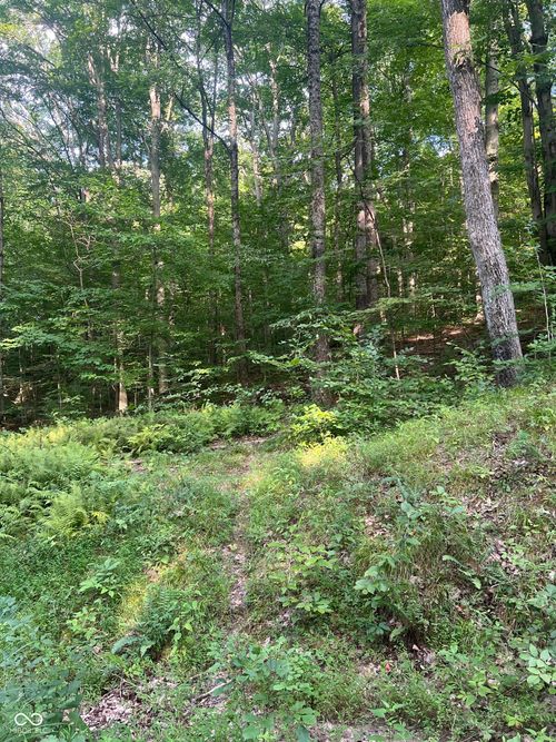 0 E Sunnyslope Dr, Martinsville, IN, 46151 | Card Image