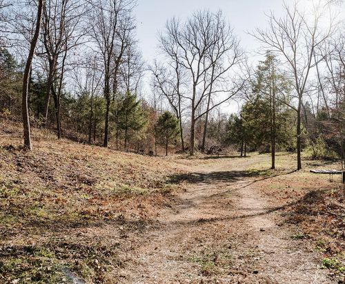 3891 Highway 38, Hartville, MO, 65667-8236 | Card Image