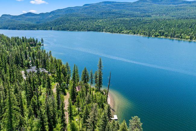 Aerial view of a forest and a water and mountain view | Image 48