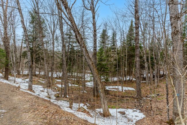 0 Ransley Rd, Home with 0 bedrooms, 0 bathrooms and null parking in Minden ON | Image 32