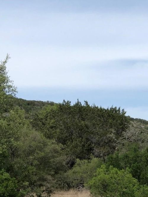 0 White Tail Run, Uvalde, TX, 78801 | Card Image