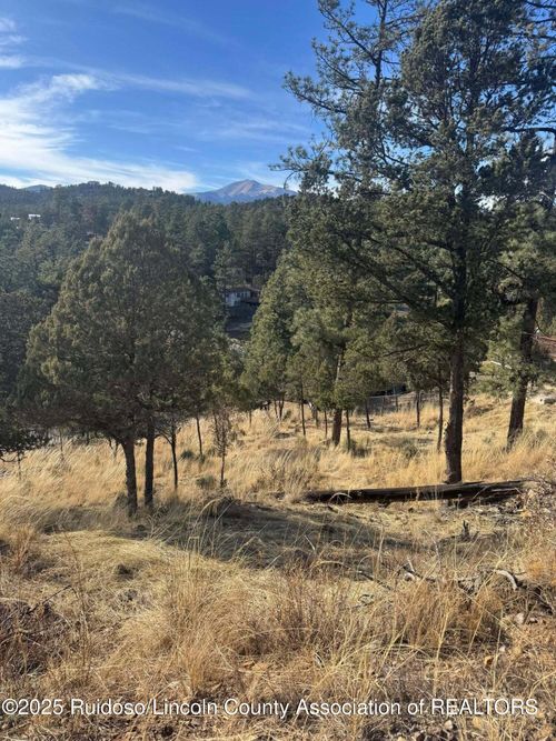 110 Rockmount Dr, Ruidoso, NM, 88345 | Card Image