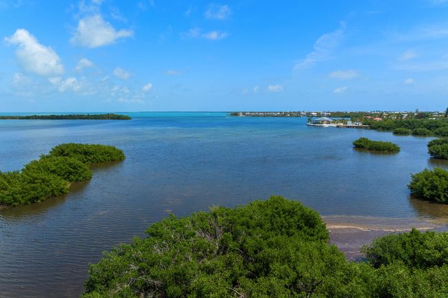 205 Stirrup Key Blvd Aerial | Image 64