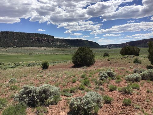 Lot D Timberlake Rd, Ramah, NM, 87321 | Card Image