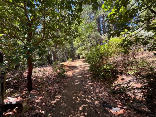 16704 New York House Rd, Brownsville, CA, 95919-9778 | Card Image