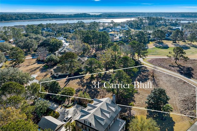 31 Carrier Blf, Home with 0 bedrooms, 0 bathrooms and null parking in Bluffton SC | Image 19