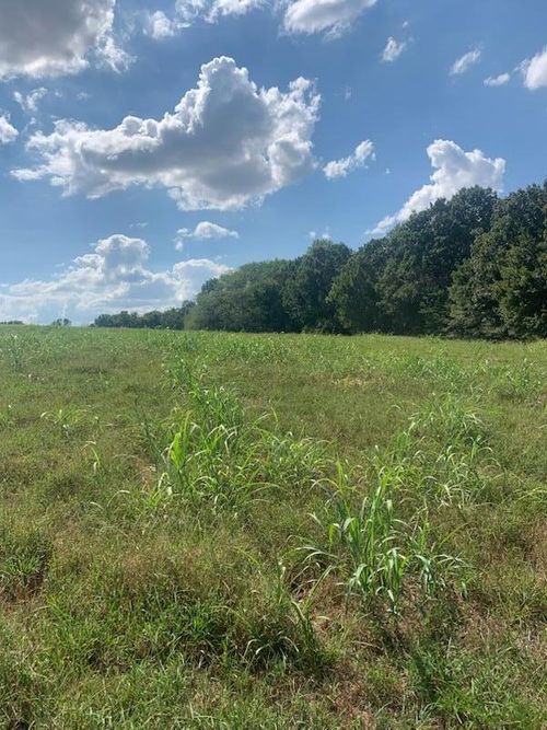 Tbd Lawrence 1038, Pierce City, MO, 65723 | Card Image