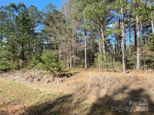 134-1156 Palamino Beach Ln, Connelly Springs, NC, 28612-8599 | Card Image