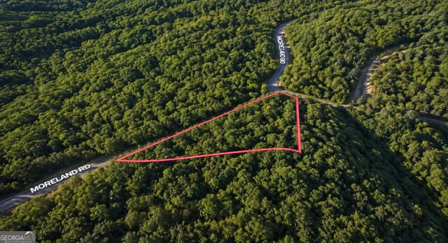 Land in Ellijay
