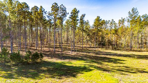 141516 Big Buck Drive, Moscow, TX, 75960 | Card Image