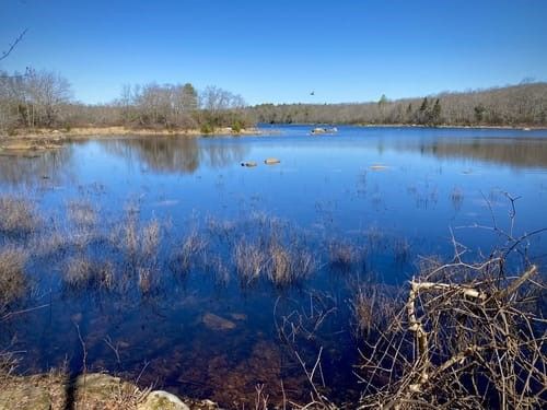 74 Blue Pond Trl, Hope Valley, RI, 02832-1935 | Card Image