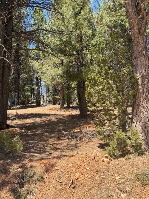 2375 Navajo Rd, Duck Creek Village, UT, 84762 | Card Image