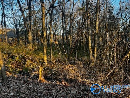 2603 Spicewood Trail Se, Huntsville, AL, 35824 | Card Image
