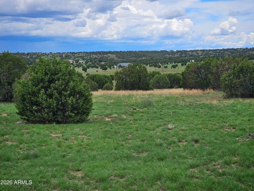 --TBD Birdwing Ln, Clay Springs, AZ, 85923 | Card Image