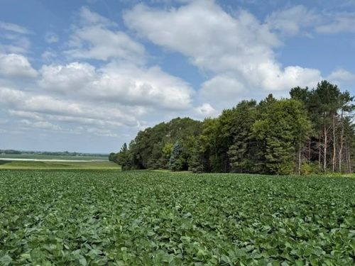 Lot B Lehigh Road, Cottage Grove, MN, 55016 | Card Image