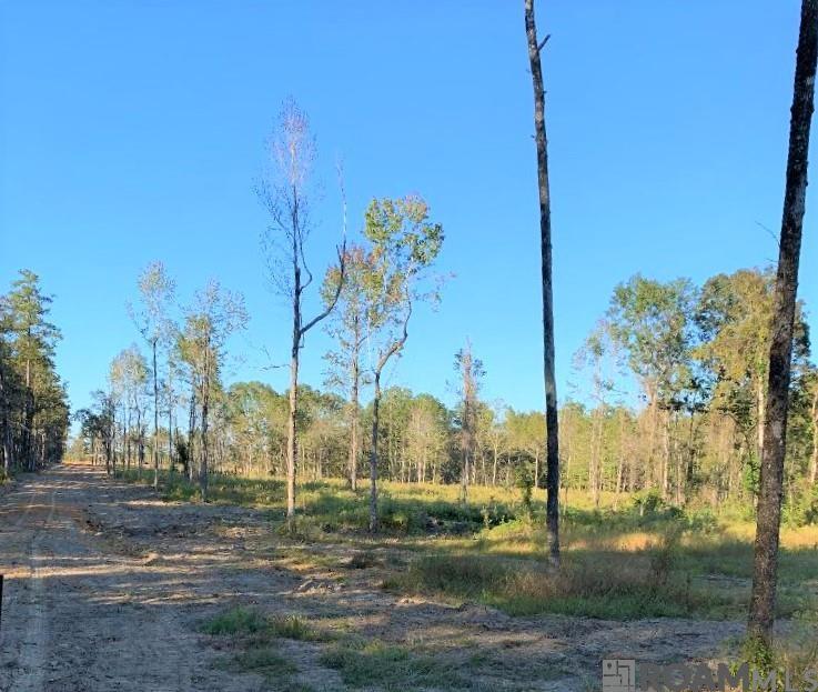 Land in Clinton 2