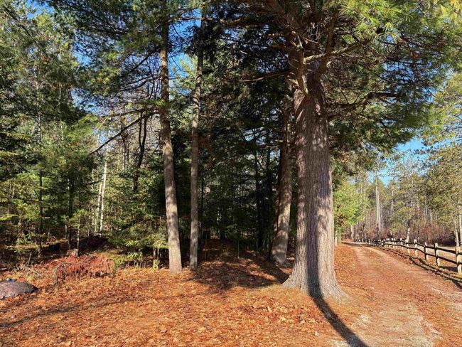 13763 Lake Shore Lane, House other with 2 bedrooms, 1 bathrooms and null parking in Mountain WI | Image 24
