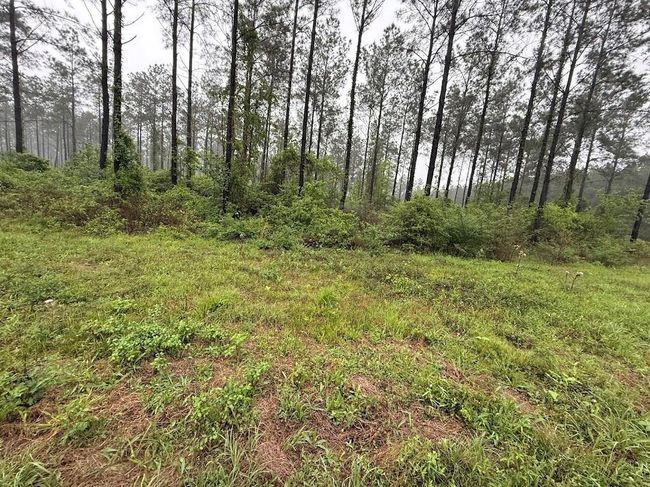 0 Richardson Rd E, Home with 0 bedrooms, 0 bathrooms and null parking in Livingston TX | Image 35