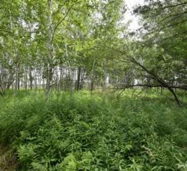 18625 Skunk Lake Rd, House other with 1 bedrooms, 0 bathrooms and null parking in SANDSTONE MN | Image 18