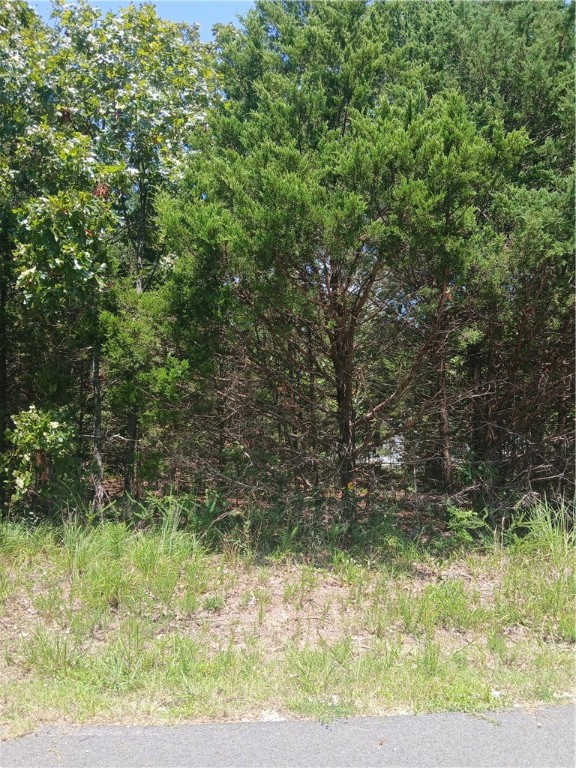 Land in Briarcliff 3