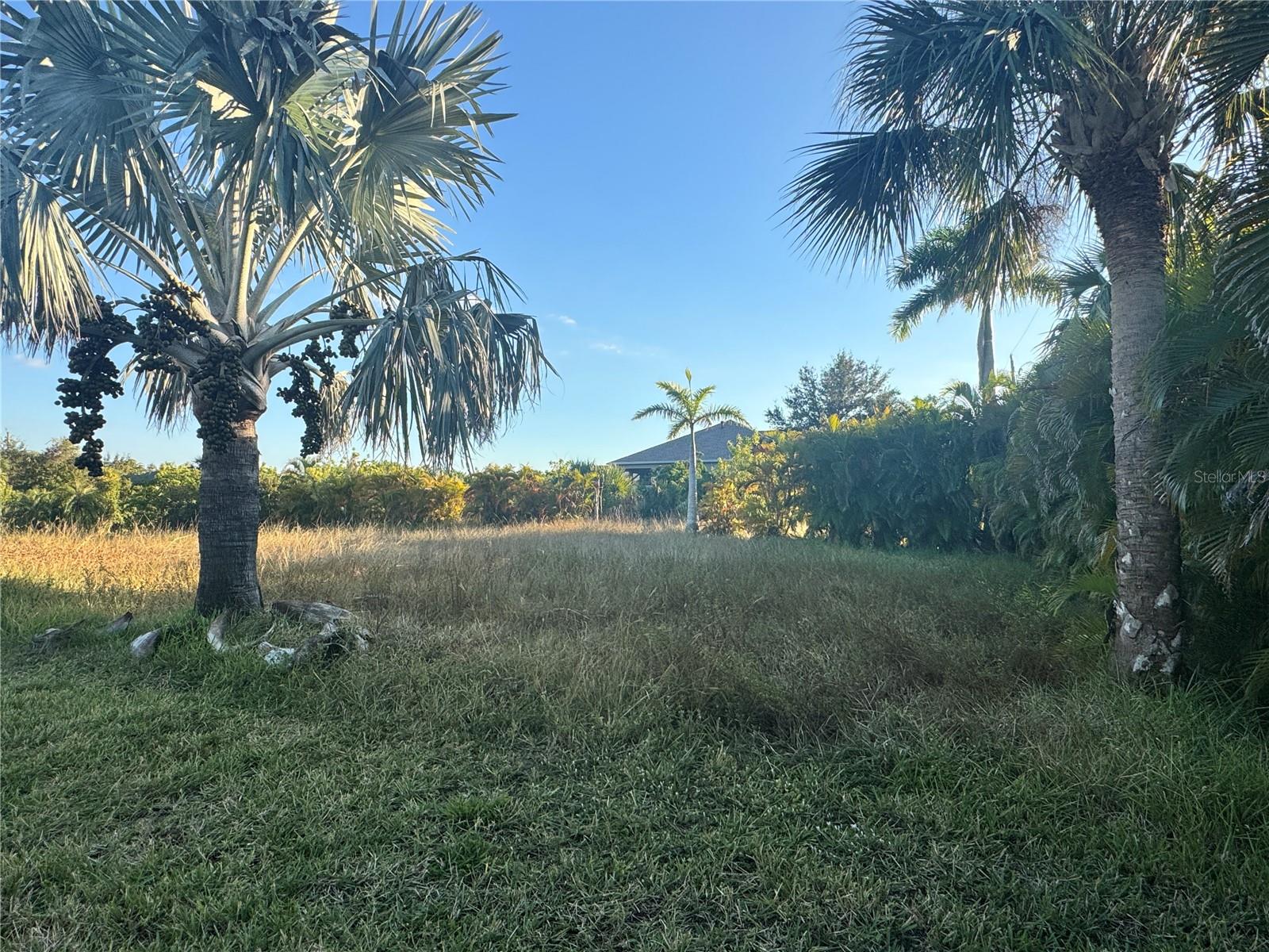 Land in PORT CHARLOTTE