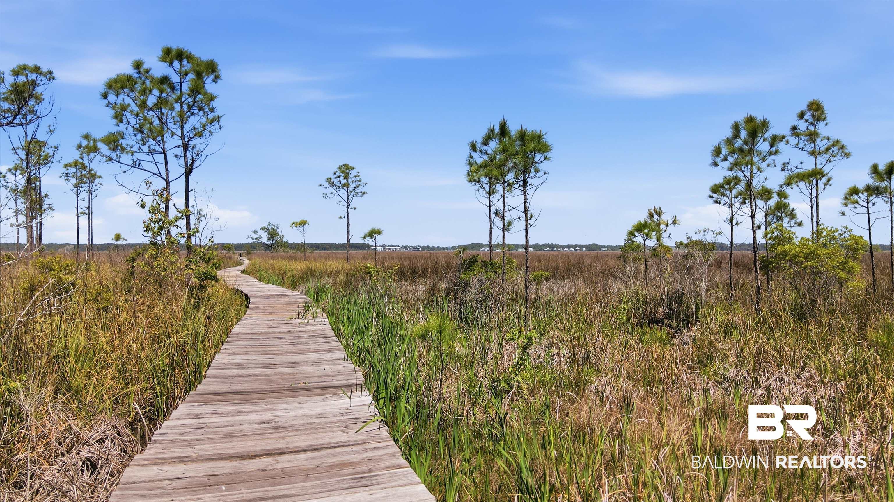 Residential in Gulf Shores 5