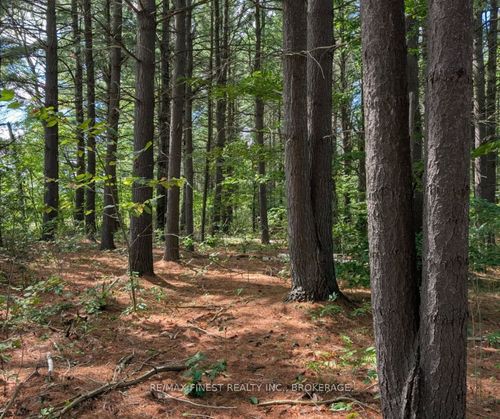 0 Davey Road, Frontenac, ON, K0H1T0 | Card Image