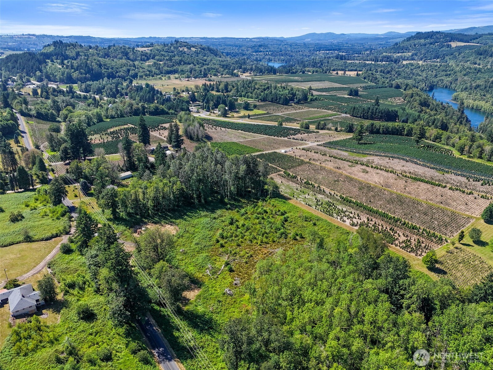 Land in Mossyrock 2