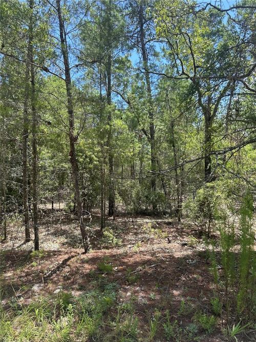 121 Pear St, Welaka, FL, 32181 | Card Image