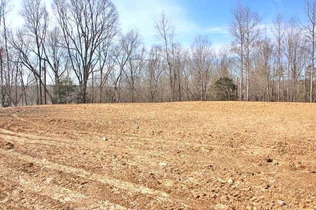 Lots 26 &amp; 27 Cherokee Road, Home with 0 bedrooms, 0 bathrooms and null parking in Lucas KY | Image 8