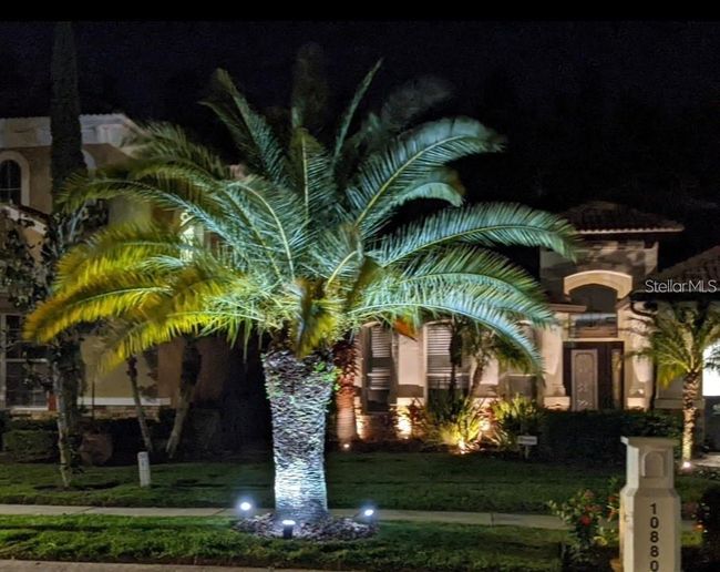 10880 Cory Lake Dr, House other with 3 bedrooms, 2 bathrooms and null parking in TAMPA FL | Image 52
