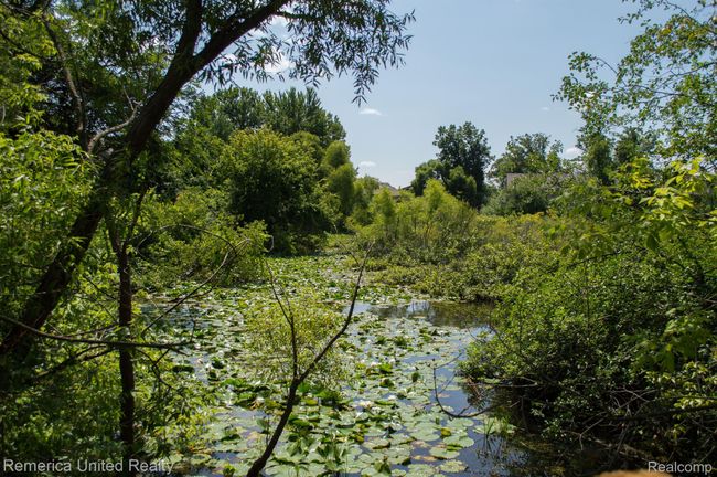 Nature preserve | Image 35