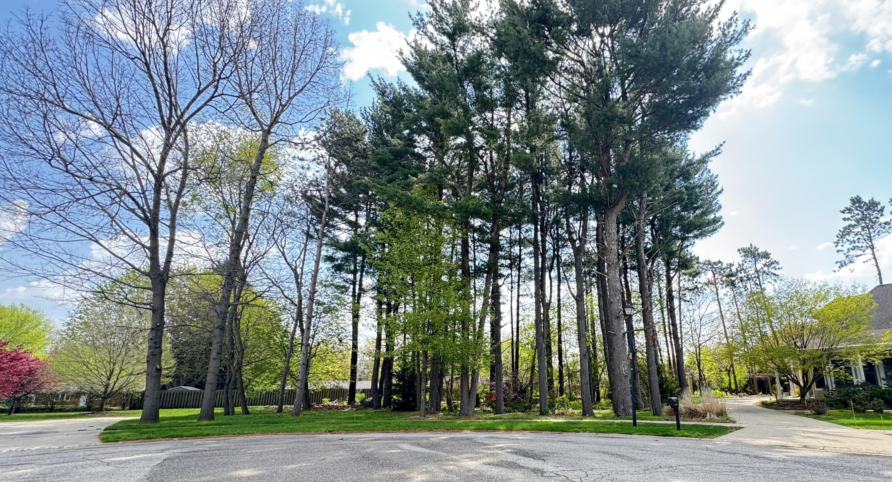 Land in Stevensville