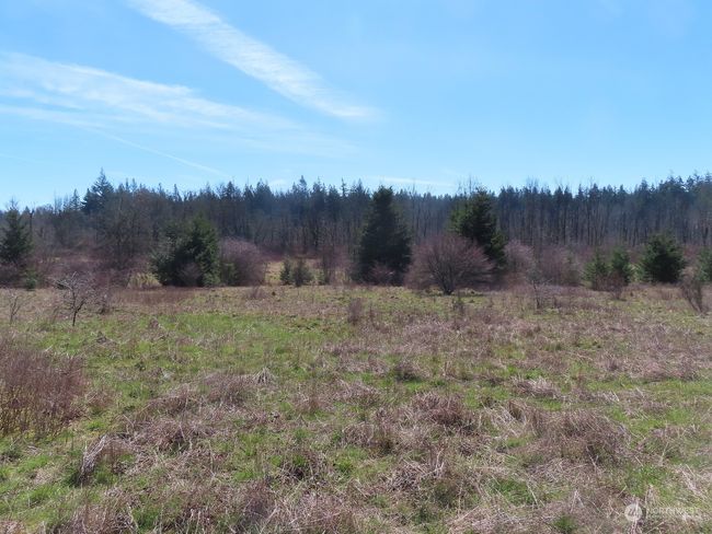 B - 107 Avery Rd W, Home with 0 bedrooms, 0 bathrooms and null parking in Napavine WA | Image 14