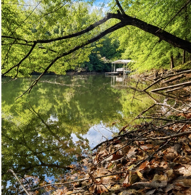 Land in Estill Springs