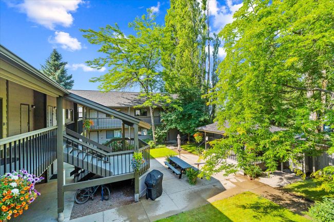 Courtyard - Hot Tub, Picnic Tables, BBQ, etc. | Image 9