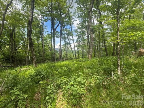 1026 Wolfs Head Court, Mars Hill, NC, 28754 | Card Image