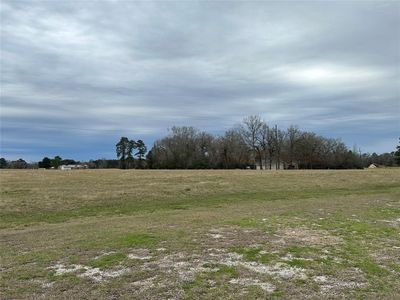 Lot 20 Jonesboro Place, Home with 0 bedrooms, 0 bathrooms and null parking in Trinity TX | Image 3