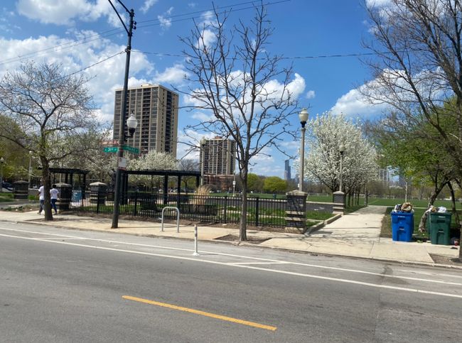 APT-805 - 2901 S Michigan Ave, Condo with 1 bedrooms, 1 bathrooms and null parking in CHICAGO IL | Image 16