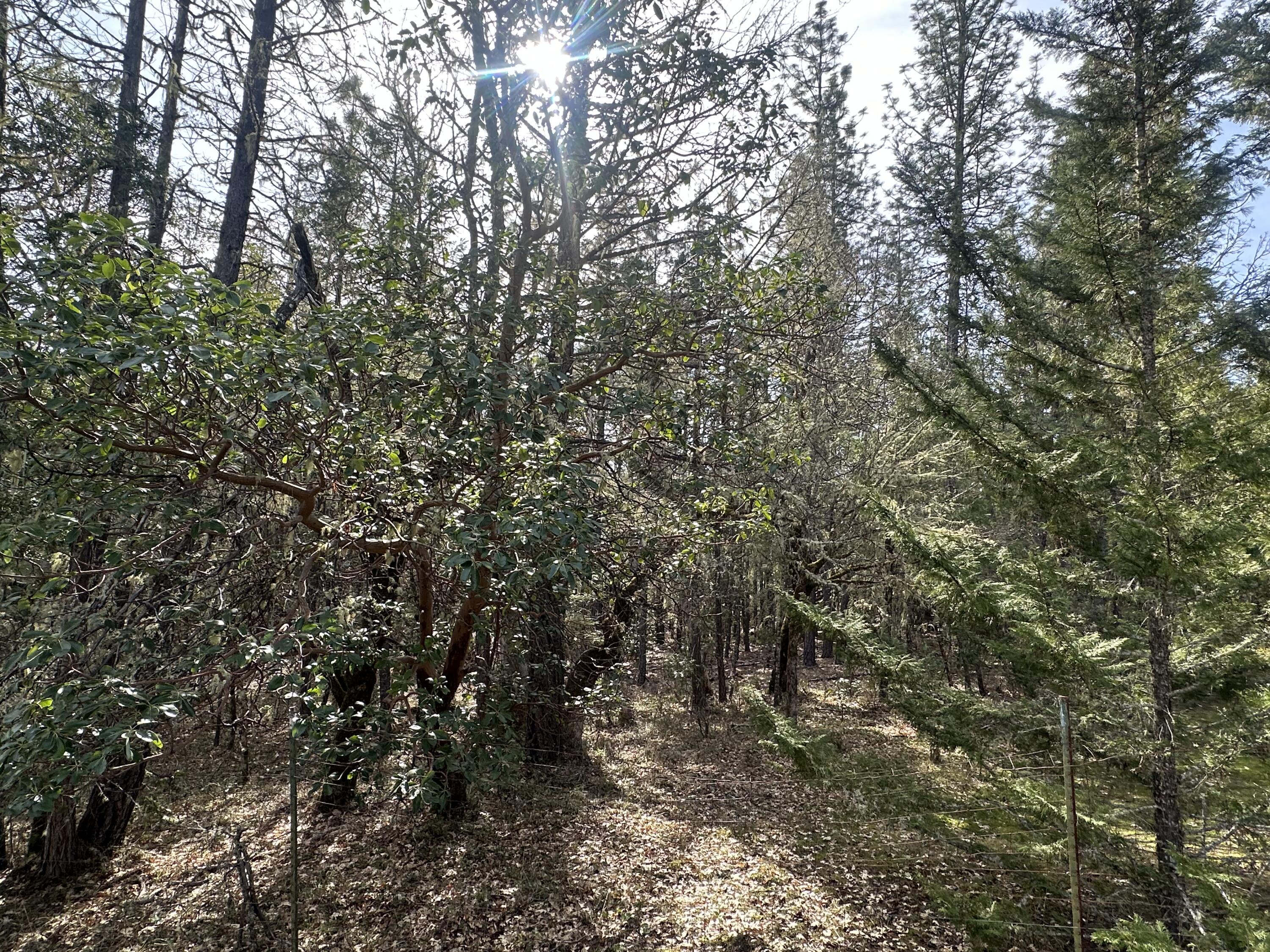 Land in Grants Pass 2