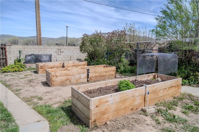 Garden | Image 37